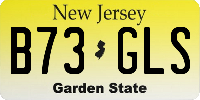 NJ license plate B73GLS
