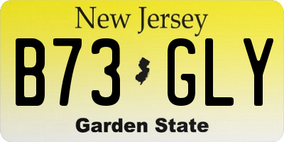 NJ license plate B73GLY