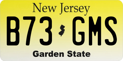 NJ license plate B73GMS