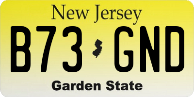 NJ license plate B73GND