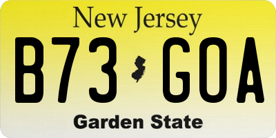 NJ license plate B73GOA