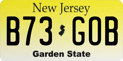 NJ license plate B73GOB