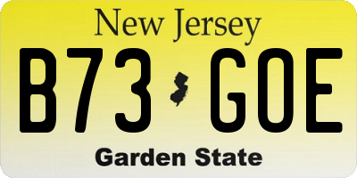 NJ license plate B73GOE
