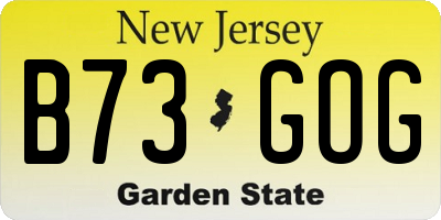 NJ license plate B73GOG