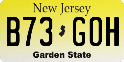 NJ license plate B73GOH