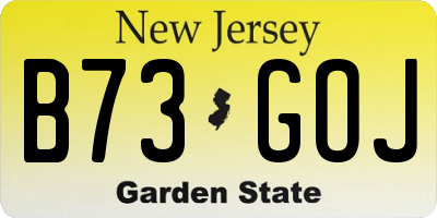 NJ license plate B73GOJ