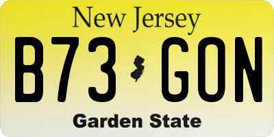 NJ license plate B73GON