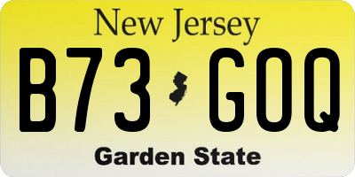NJ license plate B73GOQ