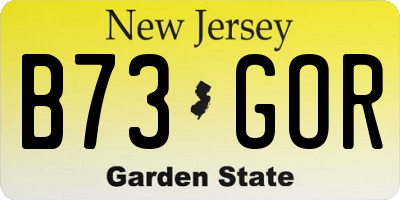 NJ license plate B73GOR