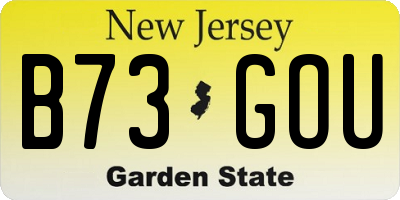 NJ license plate B73GOU