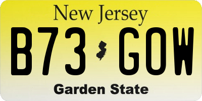 NJ license plate B73GOW