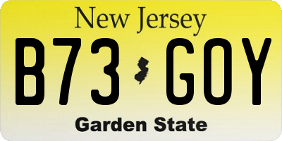 NJ license plate B73GOY