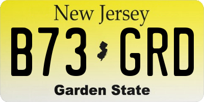 NJ license plate B73GRD