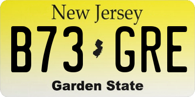 NJ license plate B73GRE