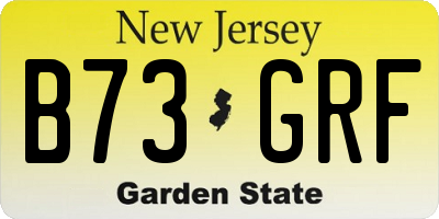 NJ license plate B73GRF