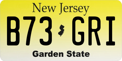 NJ license plate B73GRI