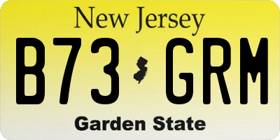 NJ license plate B73GRM