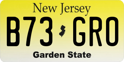 NJ license plate B73GRO