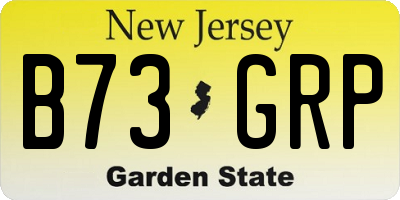 NJ license plate B73GRP