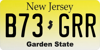 NJ license plate B73GRR