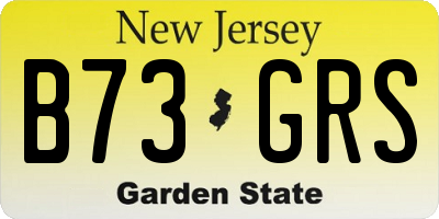 NJ license plate B73GRS