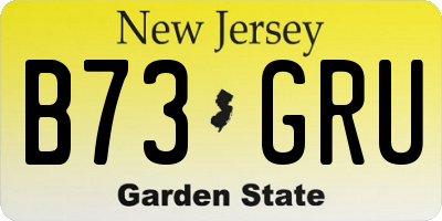 NJ license plate B73GRU