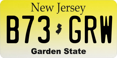 NJ license plate B73GRW