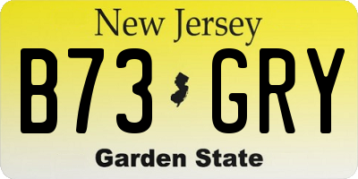NJ license plate B73GRY