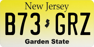 NJ license plate B73GRZ