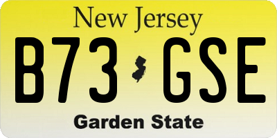 NJ license plate B73GSE