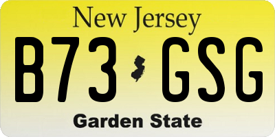 NJ license plate B73GSG