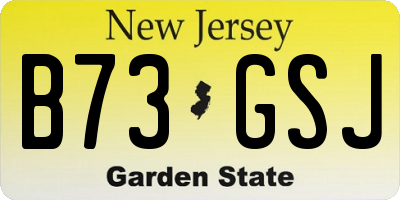 NJ license plate B73GSJ