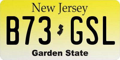 NJ license plate B73GSL