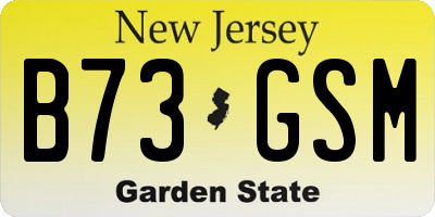 NJ license plate B73GSM