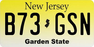 NJ license plate B73GSN
