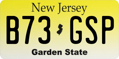 NJ license plate B73GSP