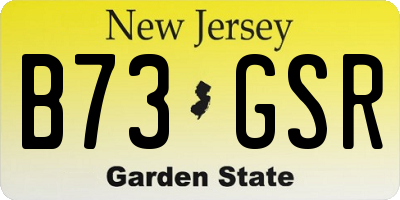NJ license plate B73GSR