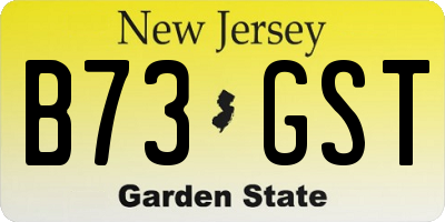 NJ license plate B73GST