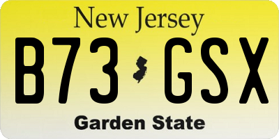 NJ license plate B73GSX