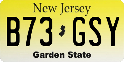NJ license plate B73GSY