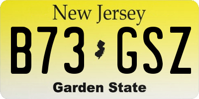 NJ license plate B73GSZ