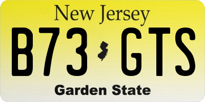 NJ license plate B73GTS