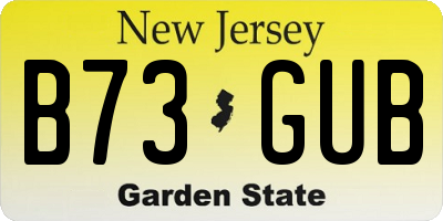 NJ license plate B73GUB