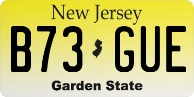 NJ license plate B73GUE