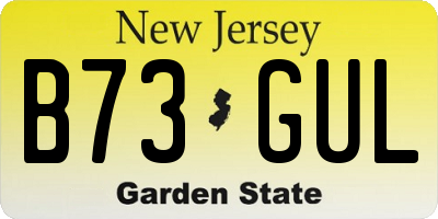 NJ license plate B73GUL