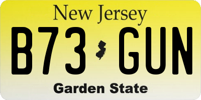 NJ license plate B73GUN