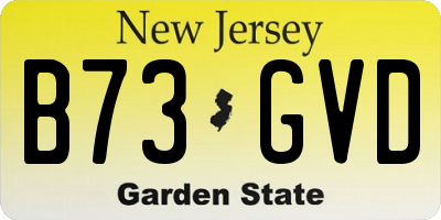 NJ license plate B73GVD