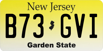 NJ license plate B73GVI