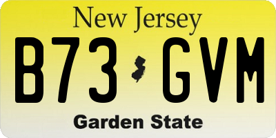 NJ license plate B73GVM
