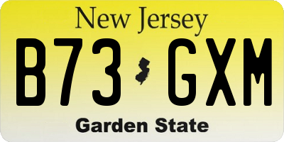 NJ license plate B73GXM